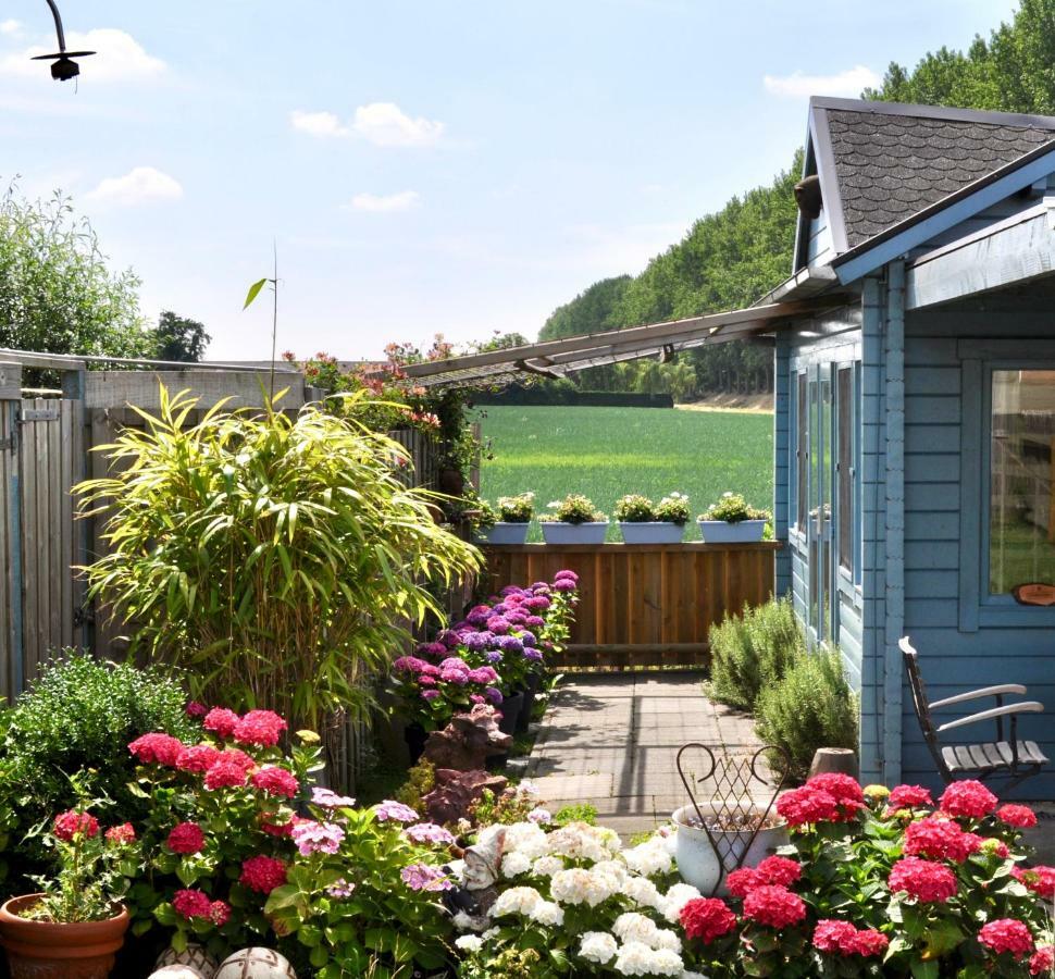 Artistiek Vakantiehuisje Hulst Exterior foto